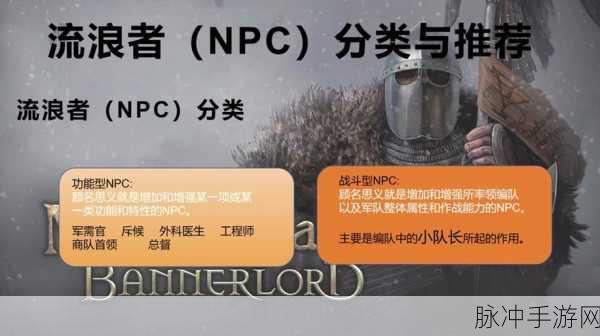 骑砍光明与黑暗新春特别版,解锁凯交管任务全攻略