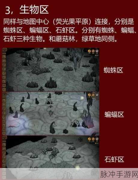 饥荒哈姆雷特蚂蚁遗迹，解锁隐藏玩法与强力助手的秘密