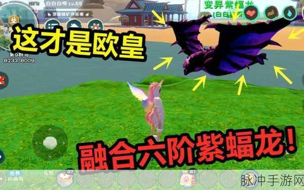 创造与魔法,红蓝蝠龙融合深度探索