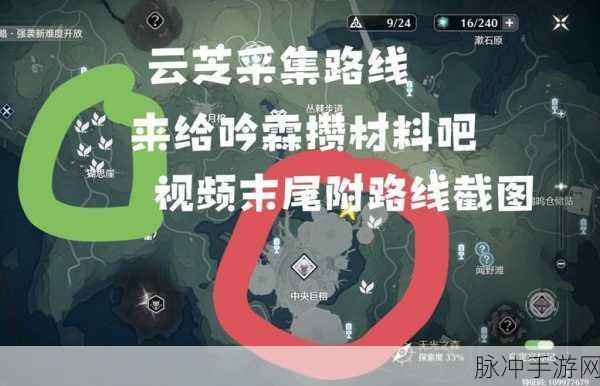 鸣潮吟霖升级培养全攻略,材料详解与获取途径