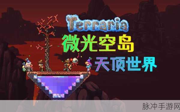 泰拉瑞亚奇幻之旅,揭秘漂浮空岛的探险秘籍