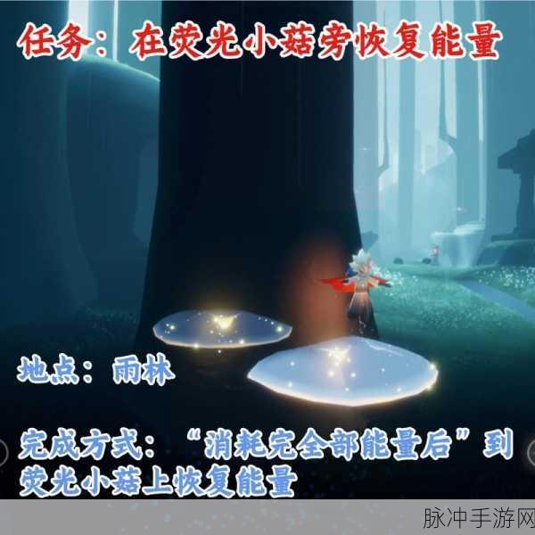 光遇光能药剂全攻略,获取方法与作用详解