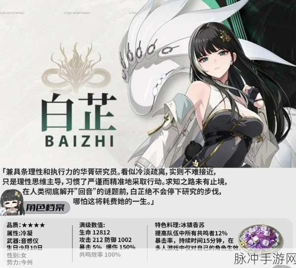 鸣潮白芷声骸搭配深度剖析,双重魅力下的治疗与增伤艺术