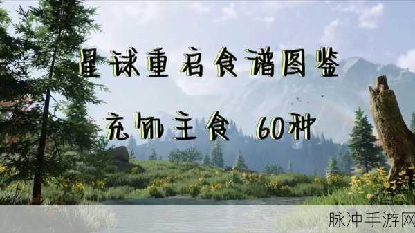 星球重启4 星回响全解析通关秘籍