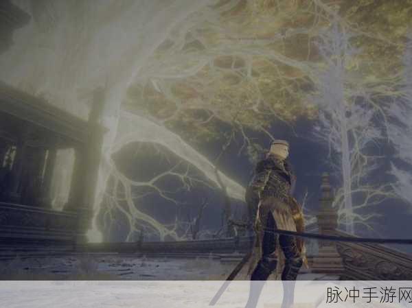 艾尔登法环深度揭秘,小兵背后的阵营迷雾,未知势力震撼登场!