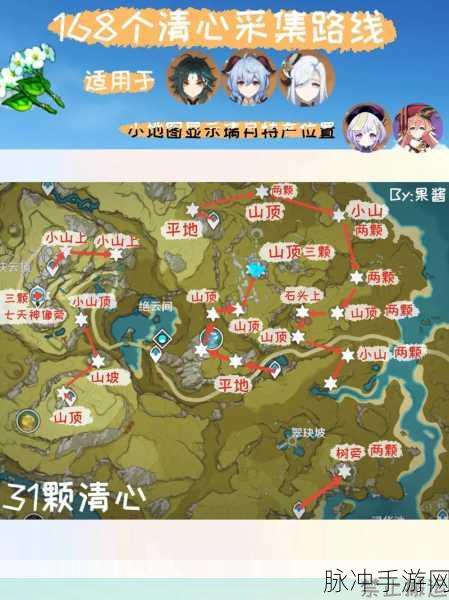原神清心植物采集秘籍,高效路线与实战技巧大公开