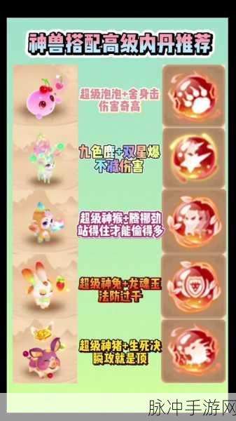 梦幻西游手游宠物内丹搭配全攻略
