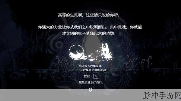 空洞骑士,技能升级全攻略,制霸地下王国