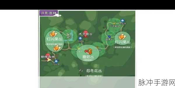 小森生活木灵峡谷收集任务全攻略