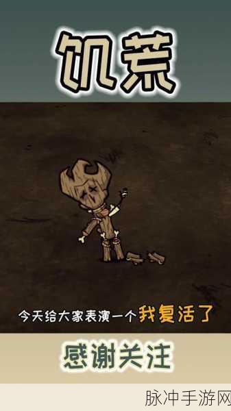 饥荒重生护符，揭秘其神秘复活之力