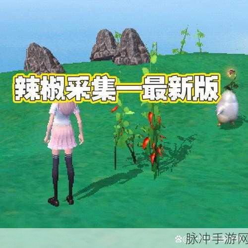 探秘创造与魔法,辣椒的奇幻漂流之旅