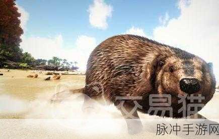 方舟生存进化,揭秘巨河狸的神奇用途