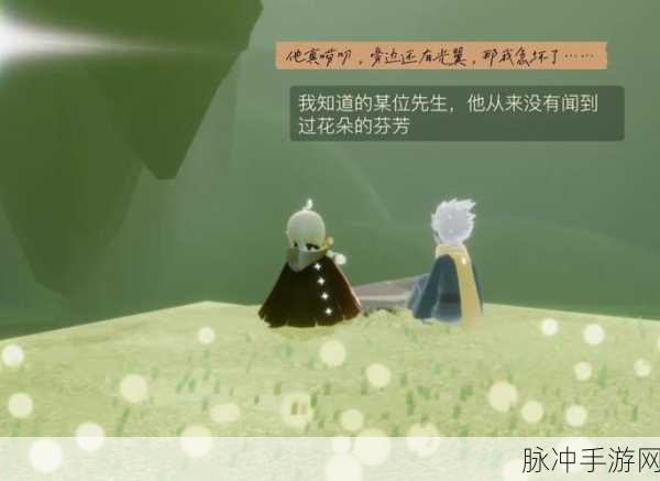 光遇小王子寻觅之旅,解锁七大任务,共赴奇幻探索之旅