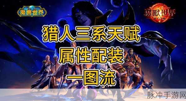魔兽世界猎人戒指与SP搭配全攻略