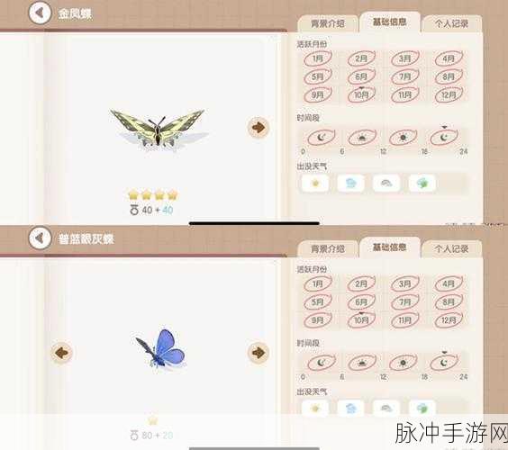心动小镇网翅蝗捕捉全攻略