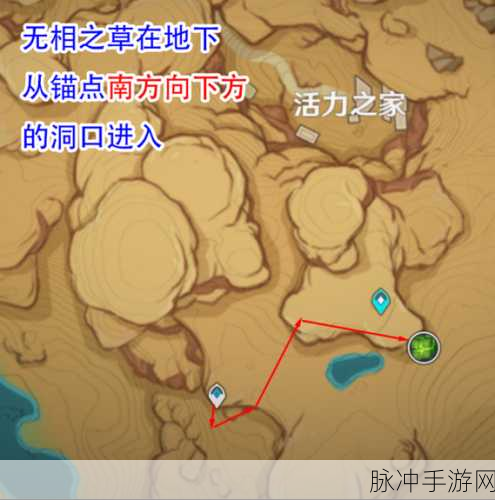 原神探索之旅,揭秘无相之草位置与高效前往攻略