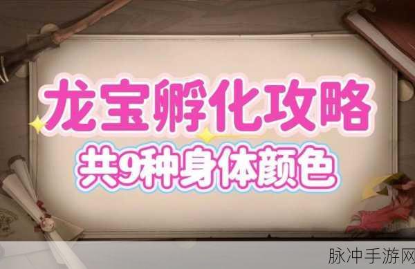 我的世界手游,龙蛋孵化秘籍大揭秘