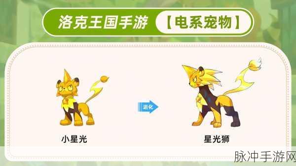 洛克王国拉特,揭秘这位电系宠物的神秘现身时刻