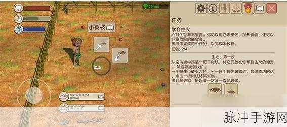 探索希望之村 2 中生火的奥秘与技巧