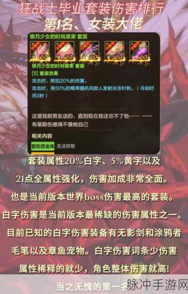 DNF 手游,遗忘套装与坎坷命运的深度剖析及适配指南