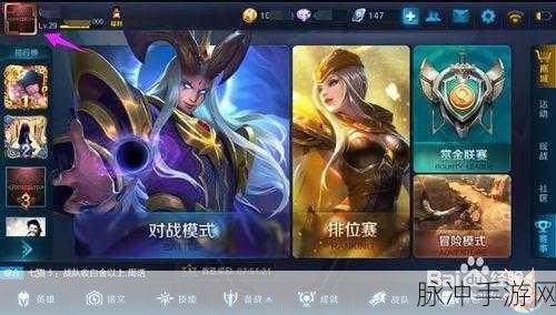王者荣耀贵族标志关闭秘籍，低调玩家的必备技巧