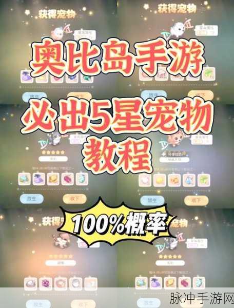 奥比岛宠物捕捉全揭秘,地点与技巧一网打尽