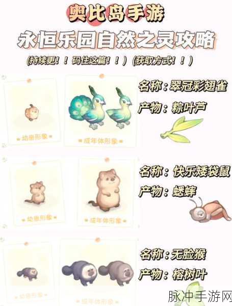 奥比岛宠物捕捉全揭秘,地点与技巧一网打尽
