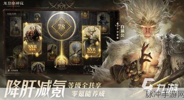 龙息神寂开服时间全揭秘,冒险之旅即刻启程