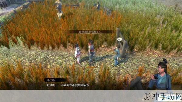 天命奇御醉仙酿获取与大福至宝支线全攻略
