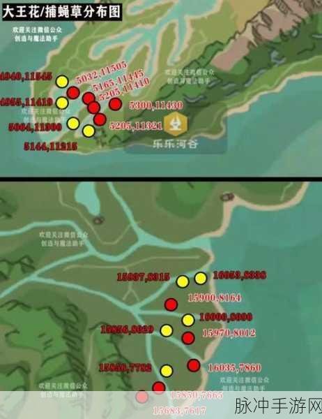 创造与魔法,莲花位置全揭秘与刷新要点