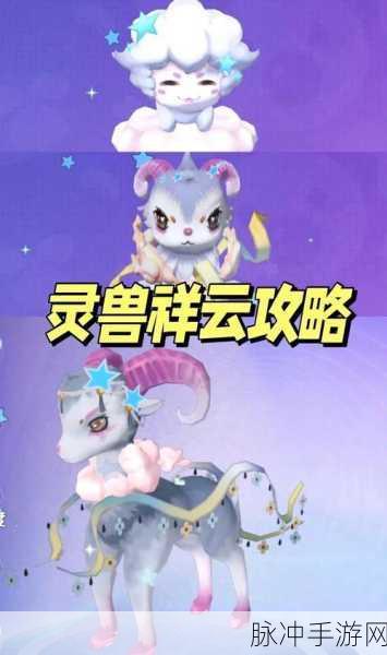 摩尔庄园灵兽投喂全攻略,让你的灵兽健康成长