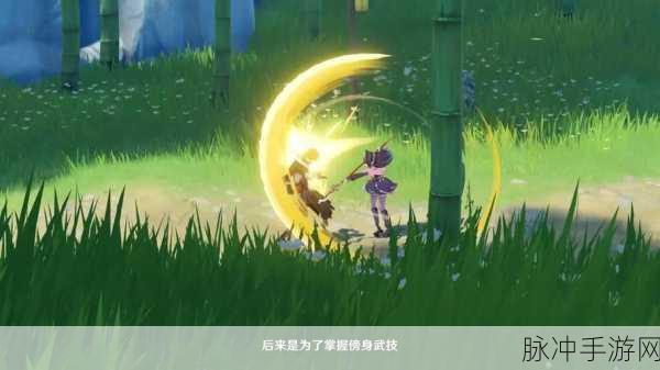 原神超绽放马戏,解锁元素大师之旅的奇幻篇章