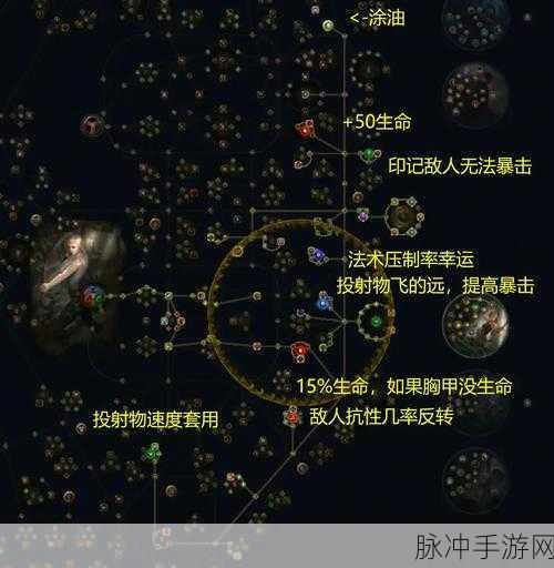 流放之路2开荒秘籍，根据个人喜好定制职业选择