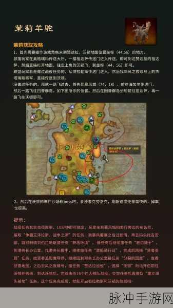 魔兽世界坐骑全攻略,解锁秘籍与玩法详解