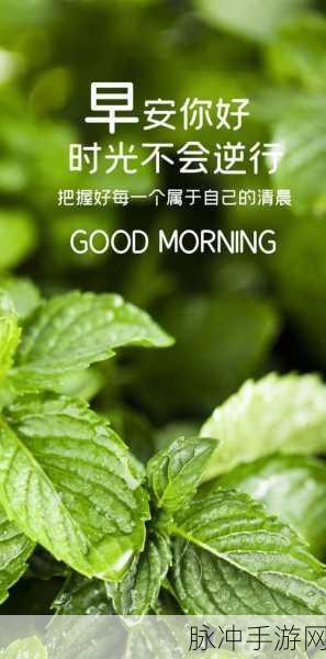 永不言弃的冒险,一场扣人心弦的极速之旅