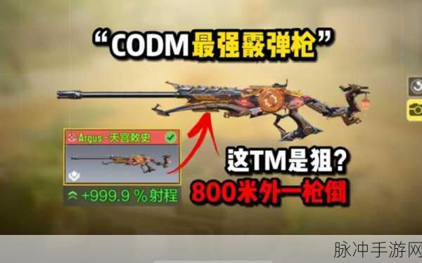 使命召唤高手之路,揭秘精确射击与实战技巧的深度进阶