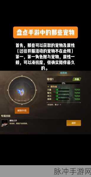 DNF回归玩家攻略,宠物技能选择助你战斗力飙升