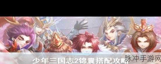 少年三国志2深度解析,魏国布阵策略全攻略