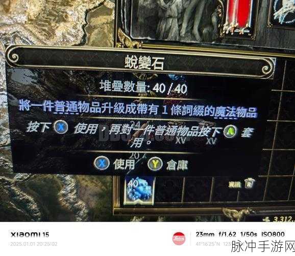 流放之路深度探索,化石插入的奥秘与顺序全解析