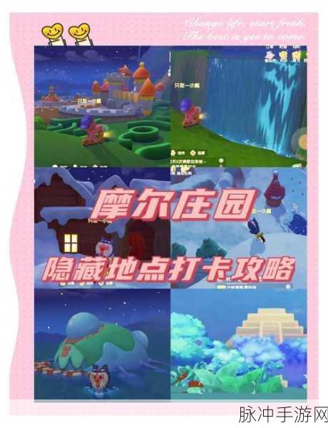 摩尔庄园手游,探寻菩提大伯的隐世居所与独特喜好