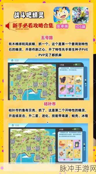 深入探索超级精灵球狩猎地带,玩法全揭秘