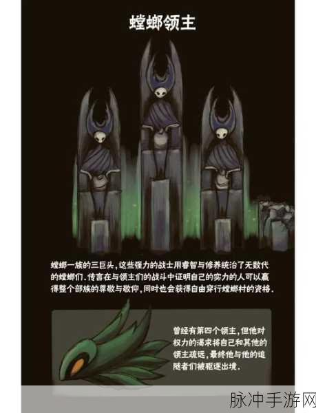 空洞骑士大黄蜂BOSS挑战指南,解锁她的神秘区域