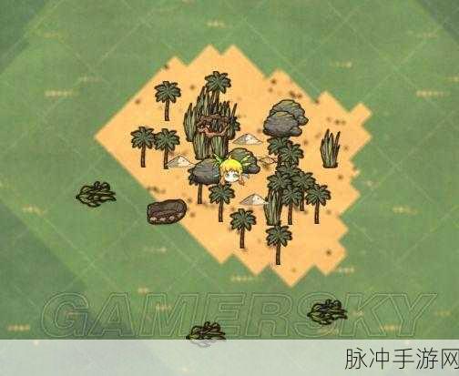 饥荒海难，龙心获取秘籍，解锁神秘力量，征服无垠海洋
