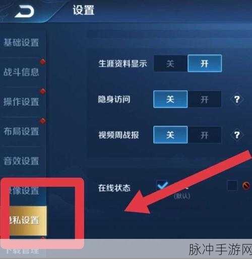 王者荣耀不允许加好友设置详解,轻松掌握隐私保护技巧