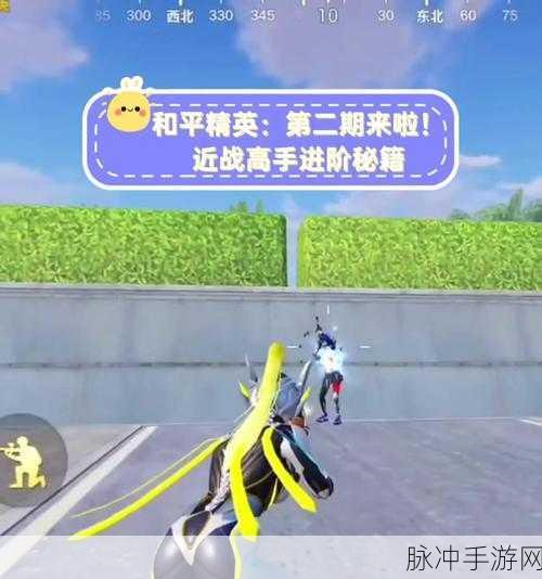 和平精英高手进阶,精准定位,掌握战场先机