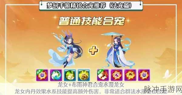 梦幻西游手游,泡泡合宠的最佳搭档揭秘
