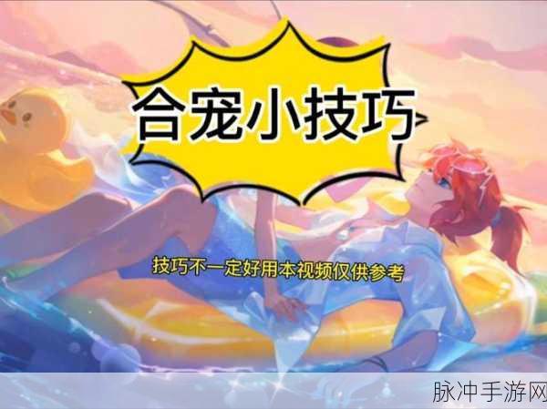 梦幻西游手游,泡泡合宠的最佳搭档揭秘