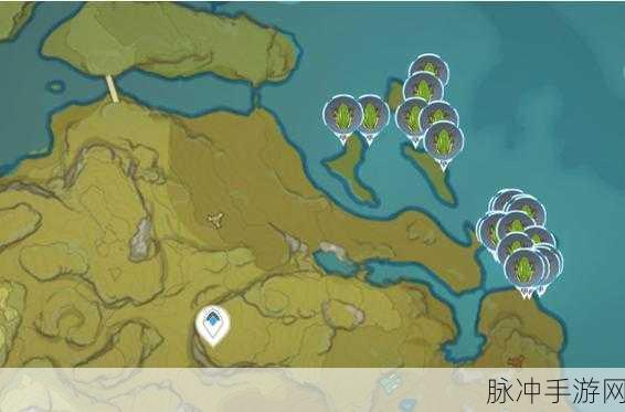 原神青蛙踪迹大揭秘,分布位置全攻略