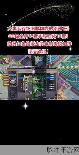 大唐无双,深度揭秘帮会指点玩法精髓