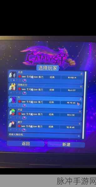 泰拉瑞亚灾厄鬼刀ID揭秘,资深玩家必备指南